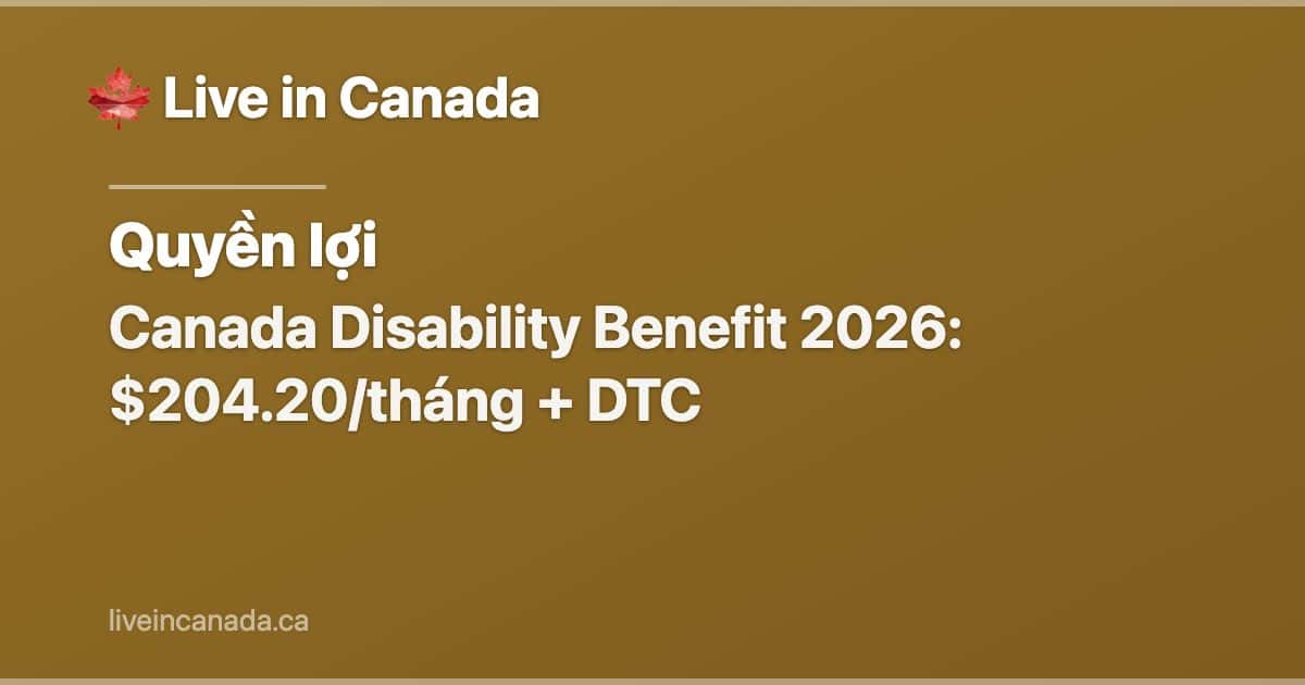 Canada Disability Benefit 2026: $204.20/tháng + DTC