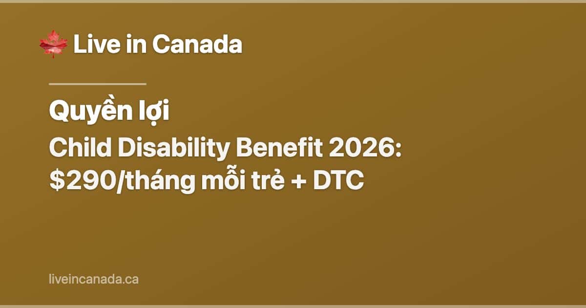 Child Disability Benefit 2026: $290/tháng mỗi trẻ + DTC
