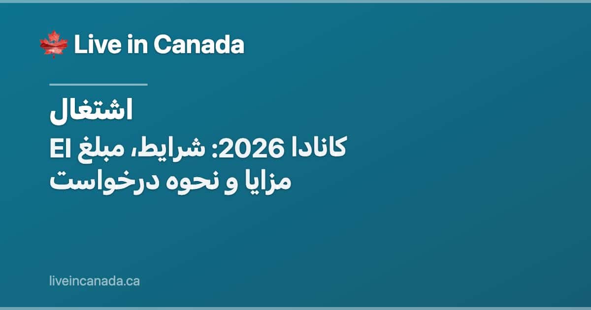 EI کانادا 2026: شرایط، مبلغ مزایا و نحوه درخواست