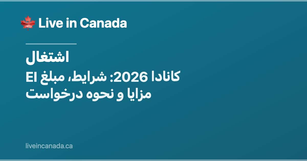 EI کانادا 2026: شرایط، مبلغ مزایا و نحوه درخواست