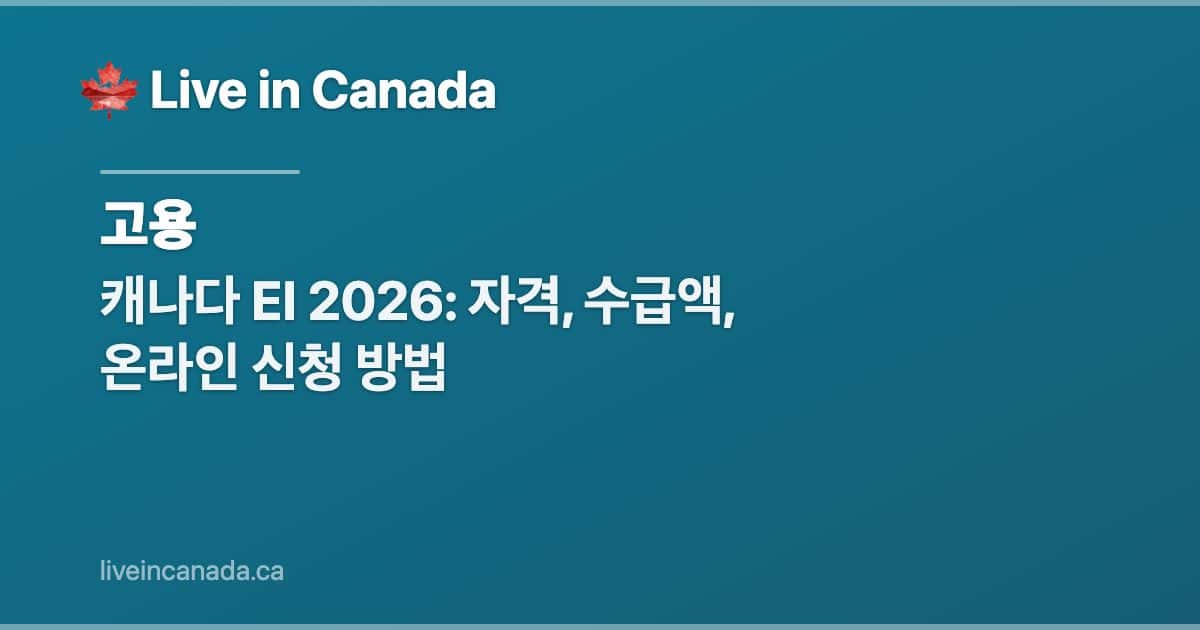 캐나다 EI 2026: 자격, 수급액, 온라인 신청 방법