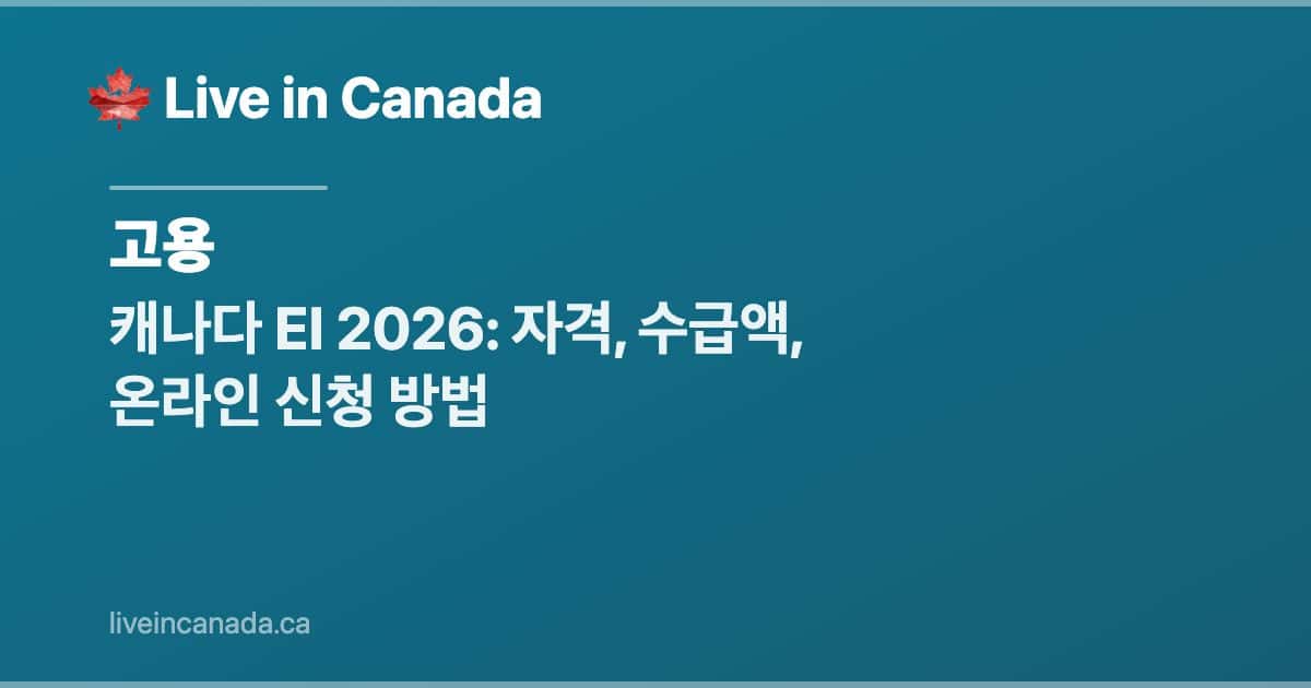 캐나다 EI 2026: 자격, 수급액, 온라인 신청 방법