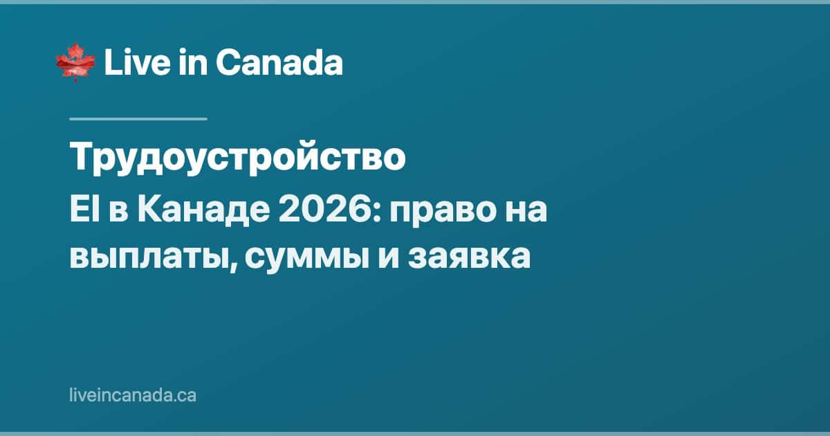 EI в Канаде 2026: право на выплаты, суммы и заявка