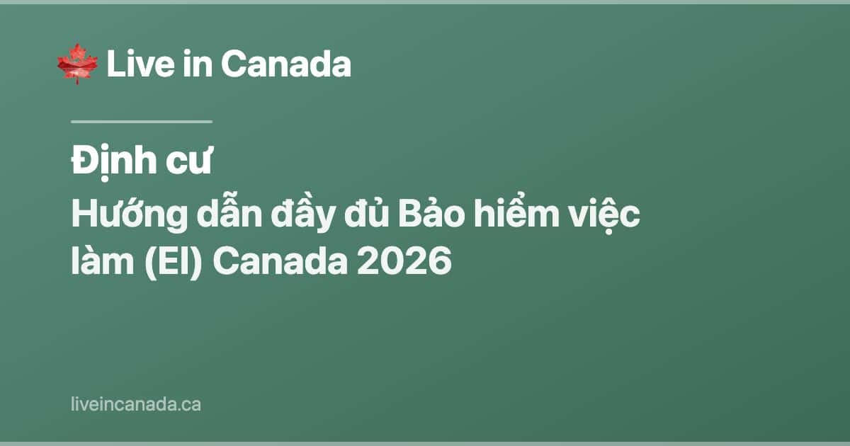 Hướng dẫn đầy đủ Bảo hiểm việc làm (EI) Canada 2026