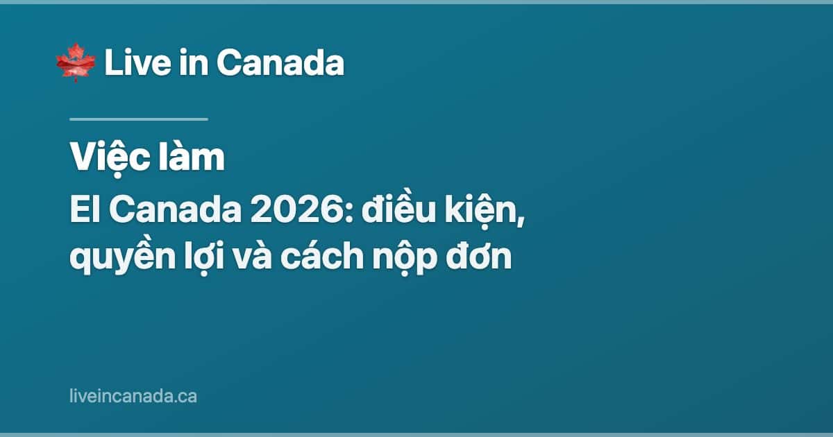 EI Canada 2026: điều kiện, quyền lợi và cách nộp đơn