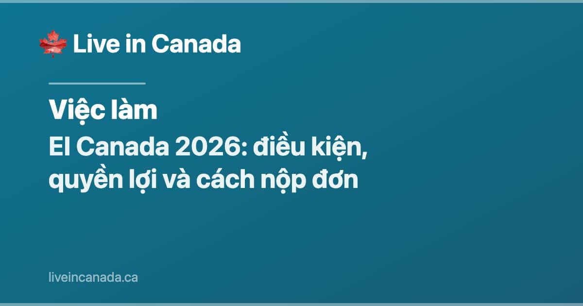 EI Canada 2026: điều kiện, quyền lợi và cách nộp đơn