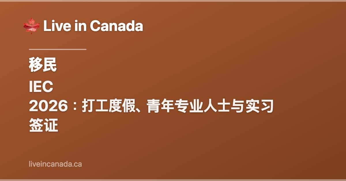 IEC 2026:打工度假、青年专业人士与实习签证