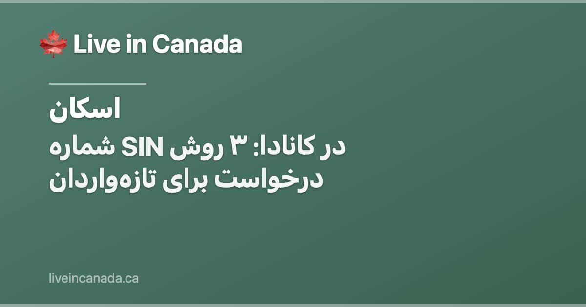 شماره SIN در کانادا: ۳ روش درخواست برای تازهواردان