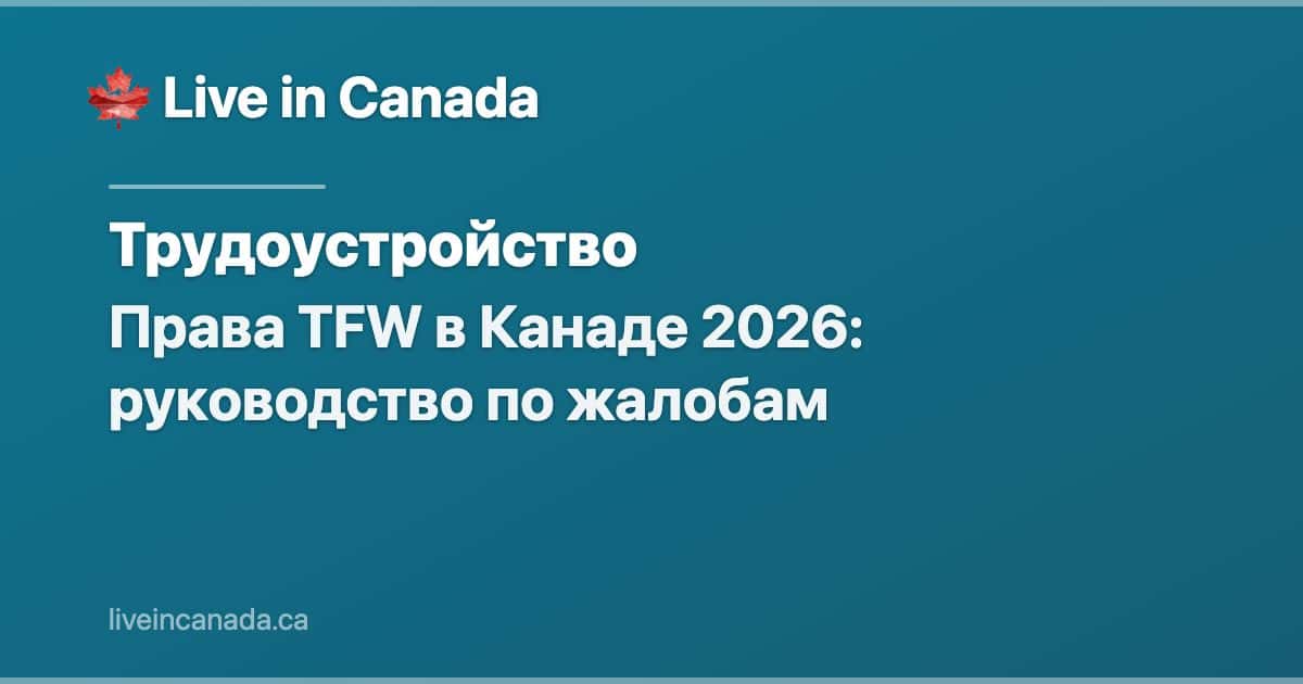 Права TFW в Канаде 2026: руководство по жалобам